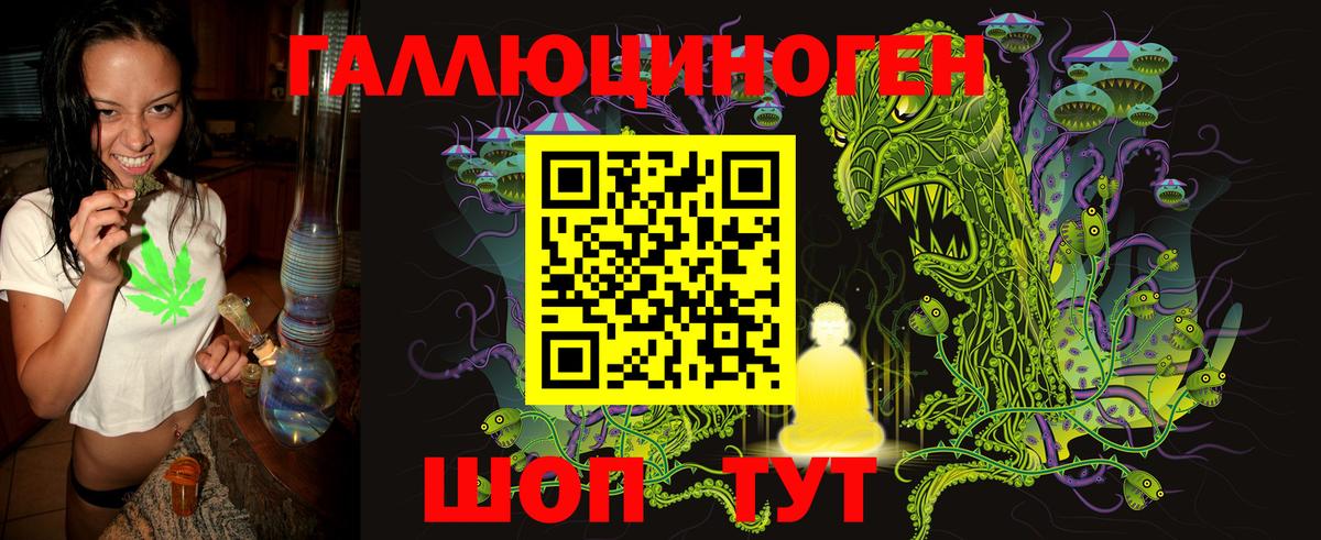 Псилоцибиновые грибы Psilocybine cubensis  Вход с VPN  Тара 