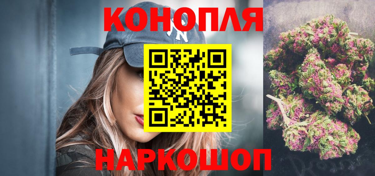 Бошки Шишки план Тара